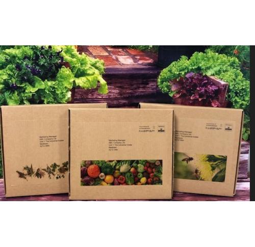 Custom Printed Letterbox Seed Growing Kit